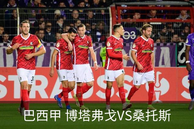 巴西甲 博塔弗戈VS桑托斯